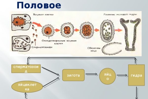 Свежие ссылки кракен