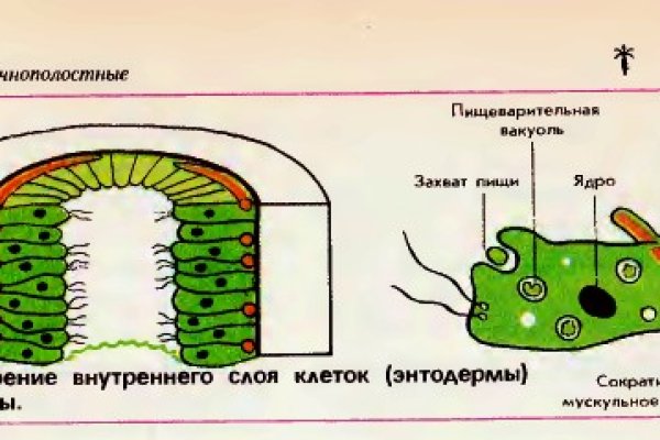 Кракен клир